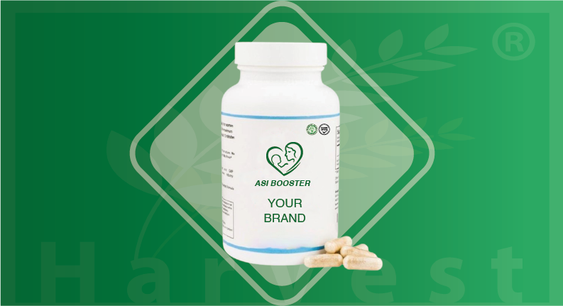 Jasa Maklon Herbal kapsul tablet khasiat